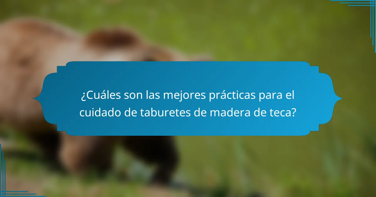 ¿Cuáles son las mejores prácticas para el cuidado de taburetes de madera de teca?