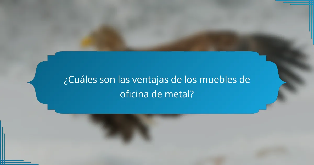 ¿Cuáles son las ventajas de los muebles de oficina de metal?