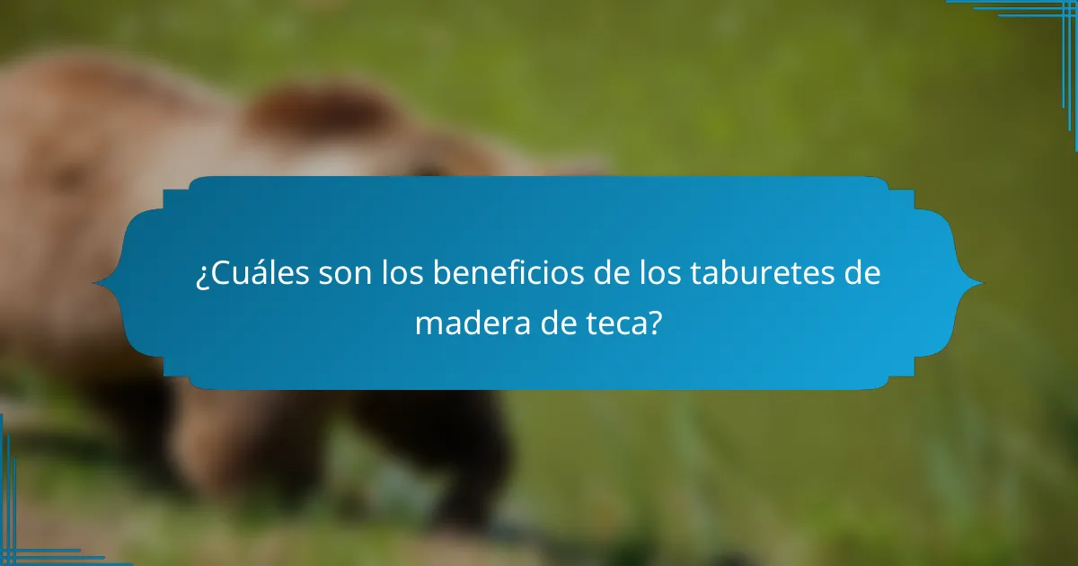 ¿Cuáles son los beneficios de los taburetes de madera de teca?