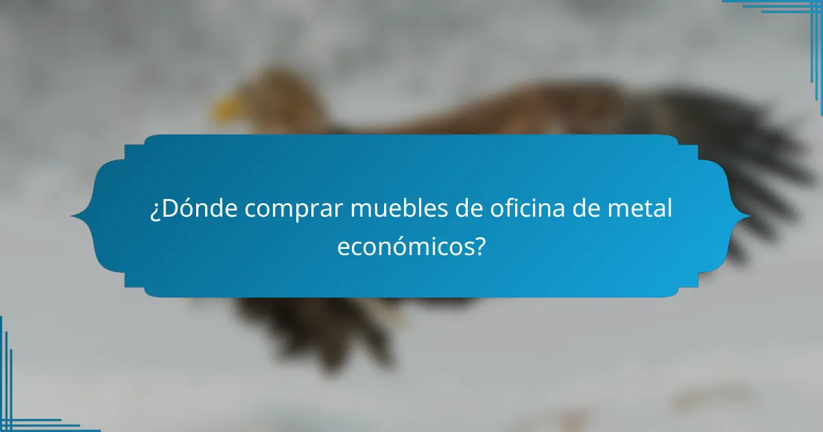 ¿Dónde comprar muebles de oficina de metal económicos?